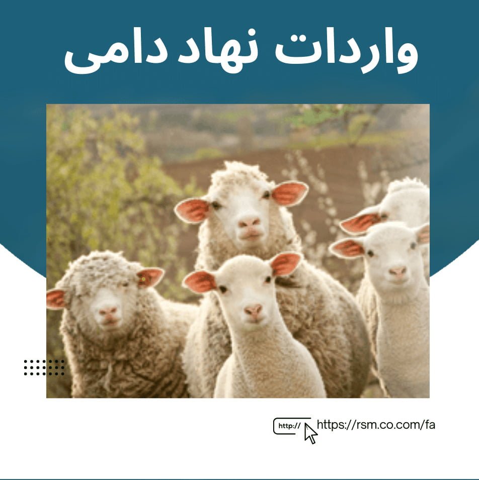 واردات نهاد دامی